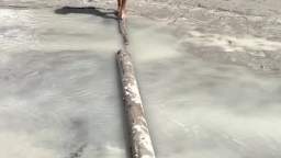 Mickey and his sister at the beach Mickey and his sister at the beach