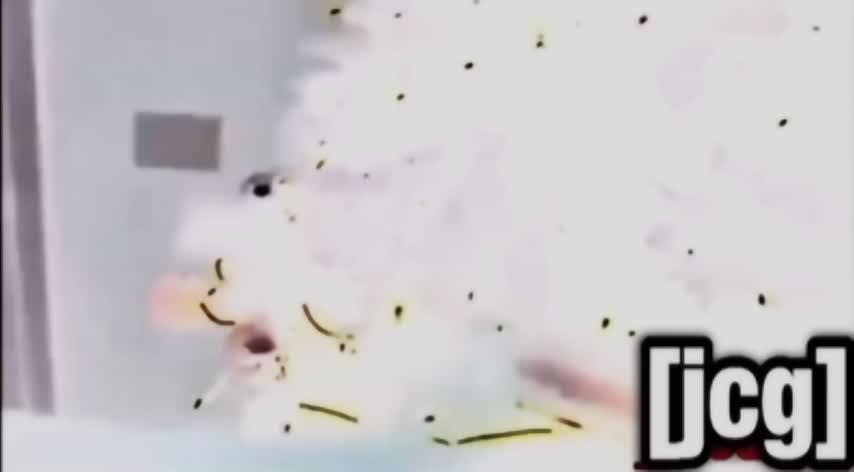 [YTPCE] Angry Grandpa Brokes TreeHouse On Christmas Day