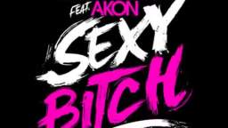 David Guetta frat. Akon - Sexy Bitch (lyrics below)