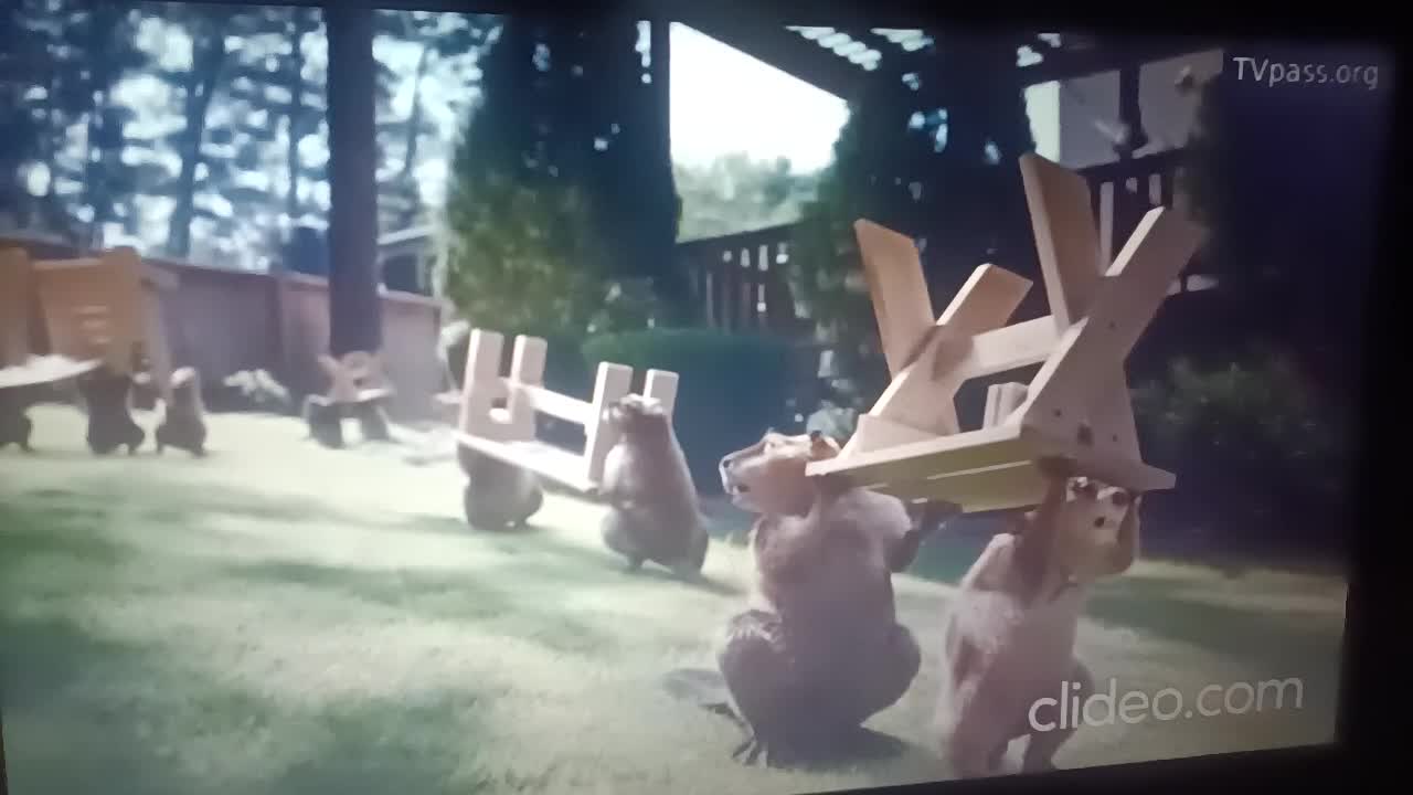 Adult Swim Commercial Break Thursday, May 14, 2026 (Part 3)