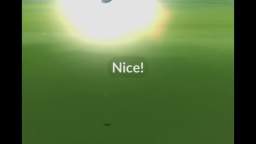 Pokémon GO-Shiny Mareep