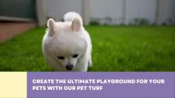 Pet Turf in Henderson, NV
