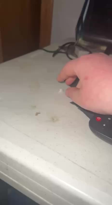 crushing a 2 year old pop-it