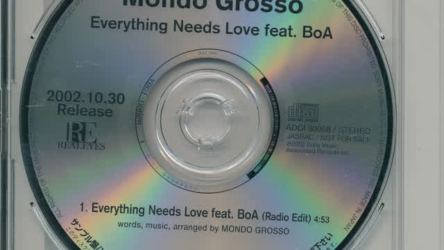 Everything Needs Love Feat.BoA