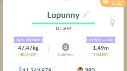Pokémon GO-Shiny Buneary Evolving