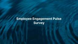 DecisionWise : Employee Engagement Pulse Survey | 84663