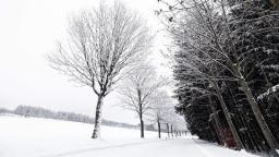 Jays favorite winter activity