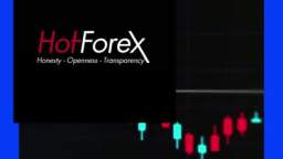 Top 5 Leverage Forex Brokers - Malaysia Forex Trading