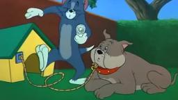 Tom & Jerry: Fit to Be Tied