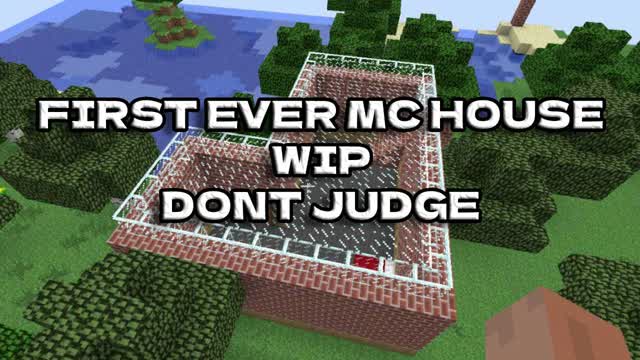First ever time building a MC HOUSE (WIP)! Dont judge ive never played minecraft
