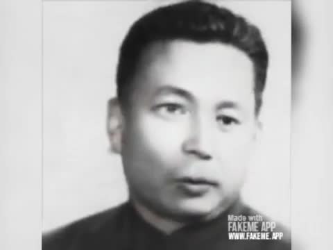 Pol Pot Dame Da Ne
