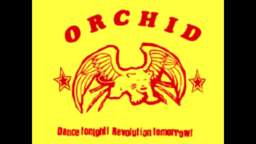 Orchid - I Am Nietzche