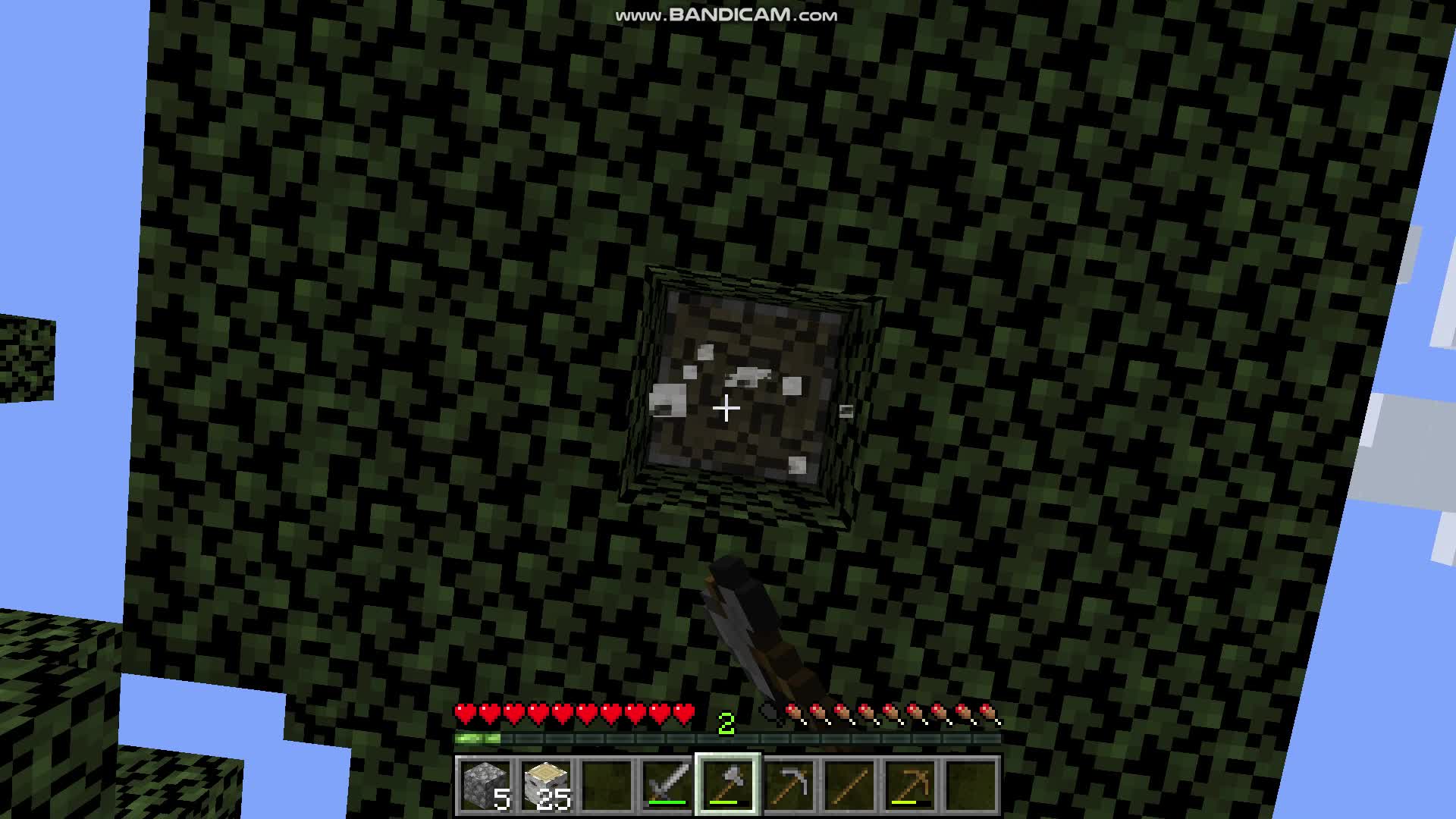 minecraft początek świata