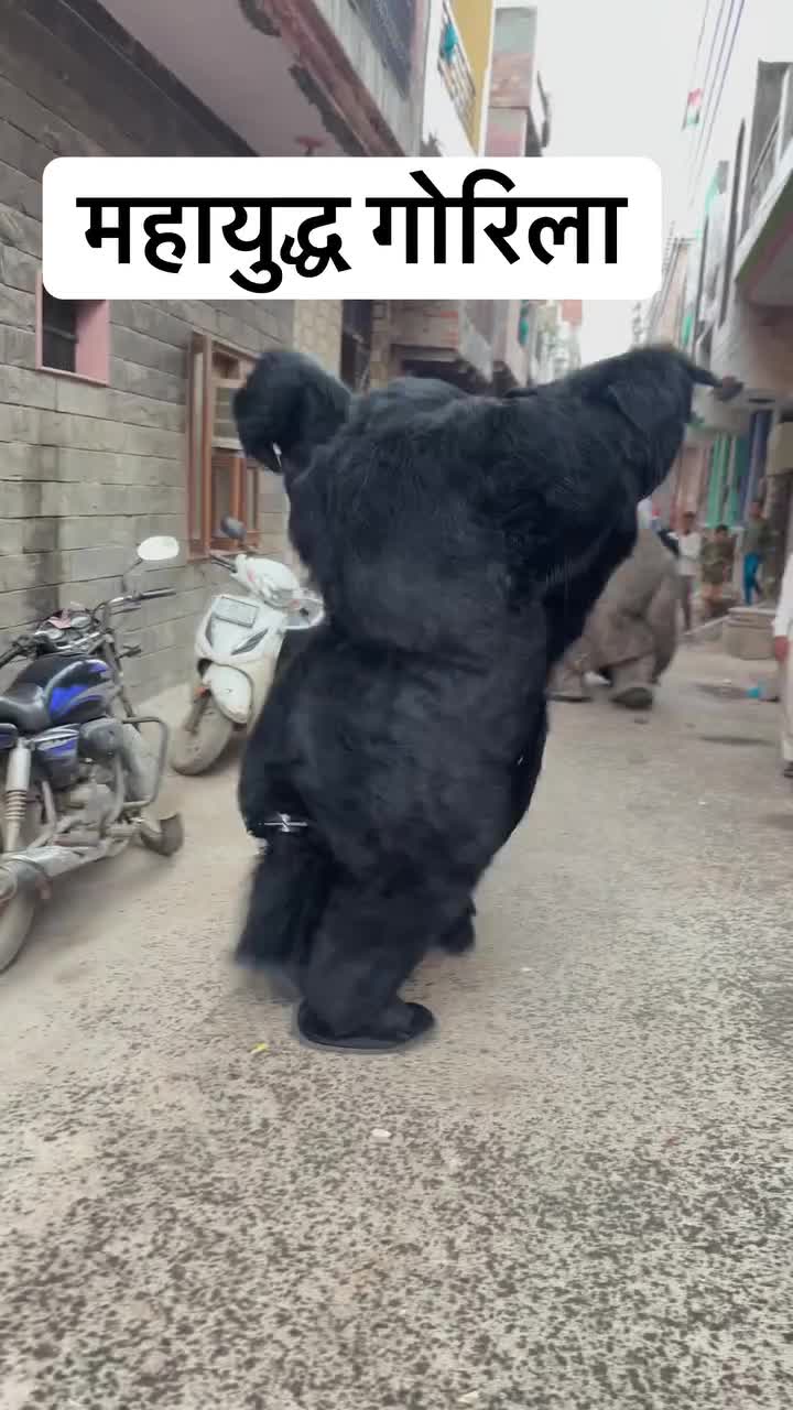 Vidéo_1