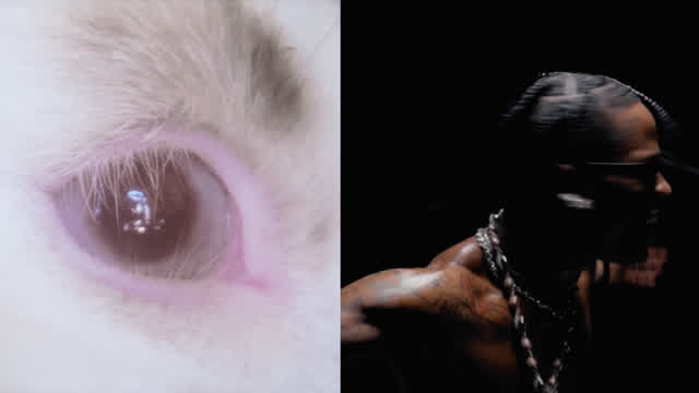 Joji - Die for You/Travis Scott ft. Playboi Carti - FEIN (with PERFECT transition)