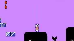 toad super msrio bros 2