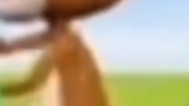 I accidentally uploaded the same video again, please go to the other one