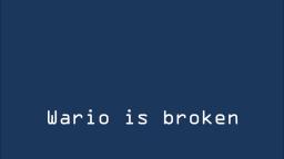 Wario is really broken