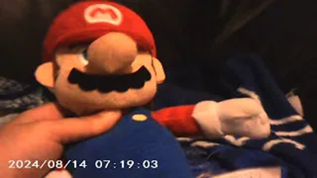 SuperSonicSebastian's Dog