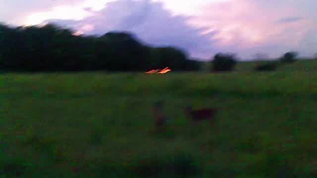 Misleading Grace- Silk [Original music]