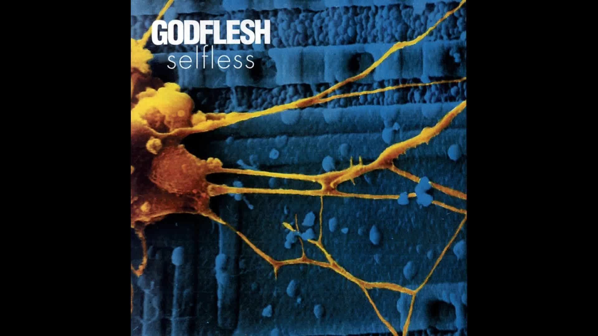 Godflesh - Go Spread Your Wings