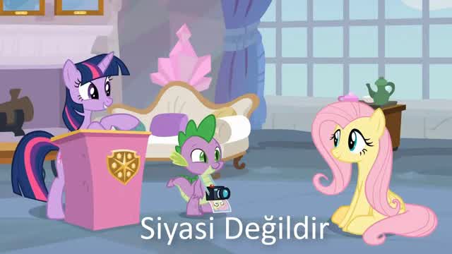 Siyasi (olmayan) poniler