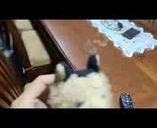 No_Les_Recomiendo_Contratar_a_estos_T�cnicos_Peleoneros.3gp