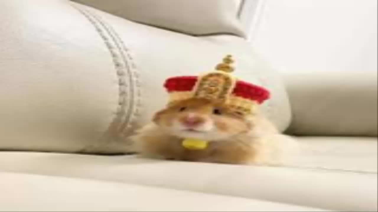 Critica destructiva a los mocosos malcriados Critica destructiva a los mocosos malcriados