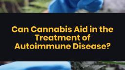 Can_Cannabis_Aid_in_the_Treatment_of_Autoimmune_Disease