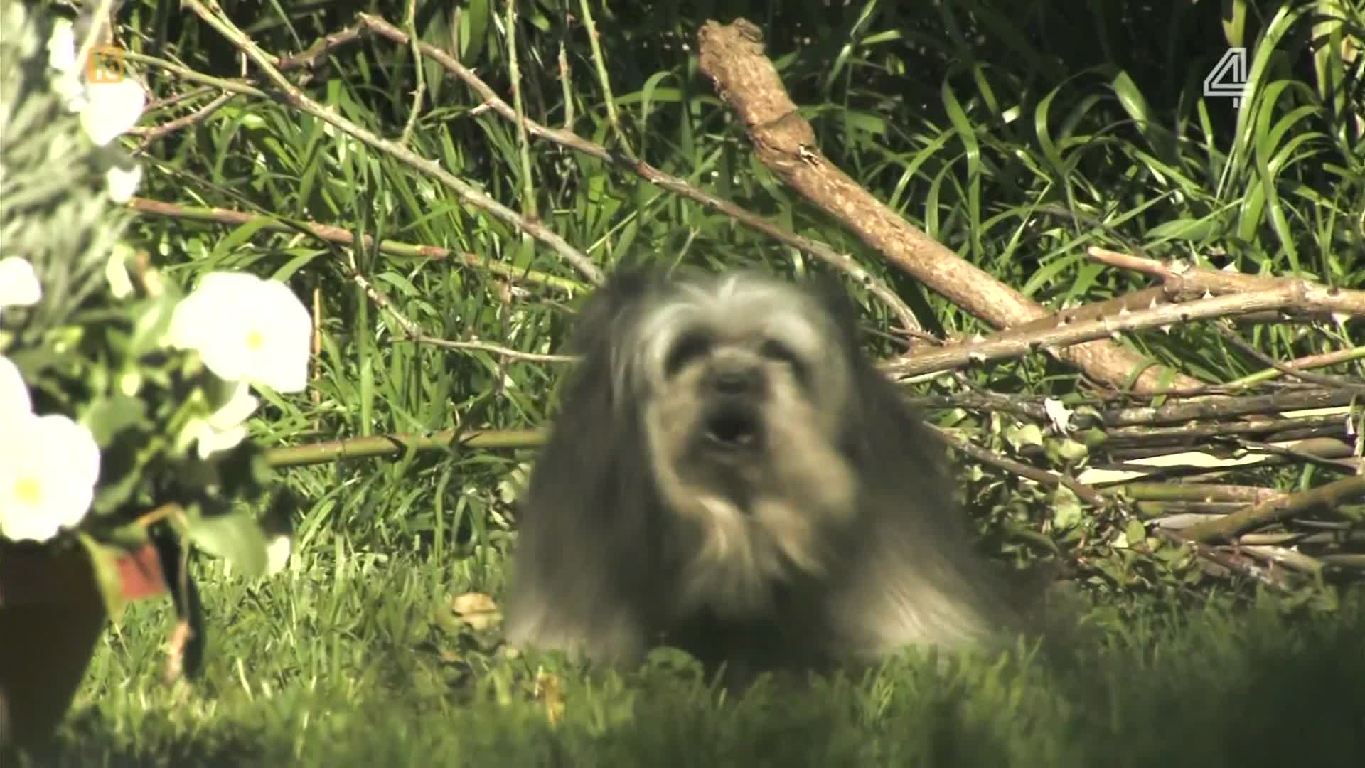 Śmierć na 1000 sposobów S4 Odc. 13