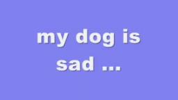 my dog is sad
