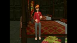 Harry Potter and the Philosophers Stone Chapter Twelve - Sims 2.