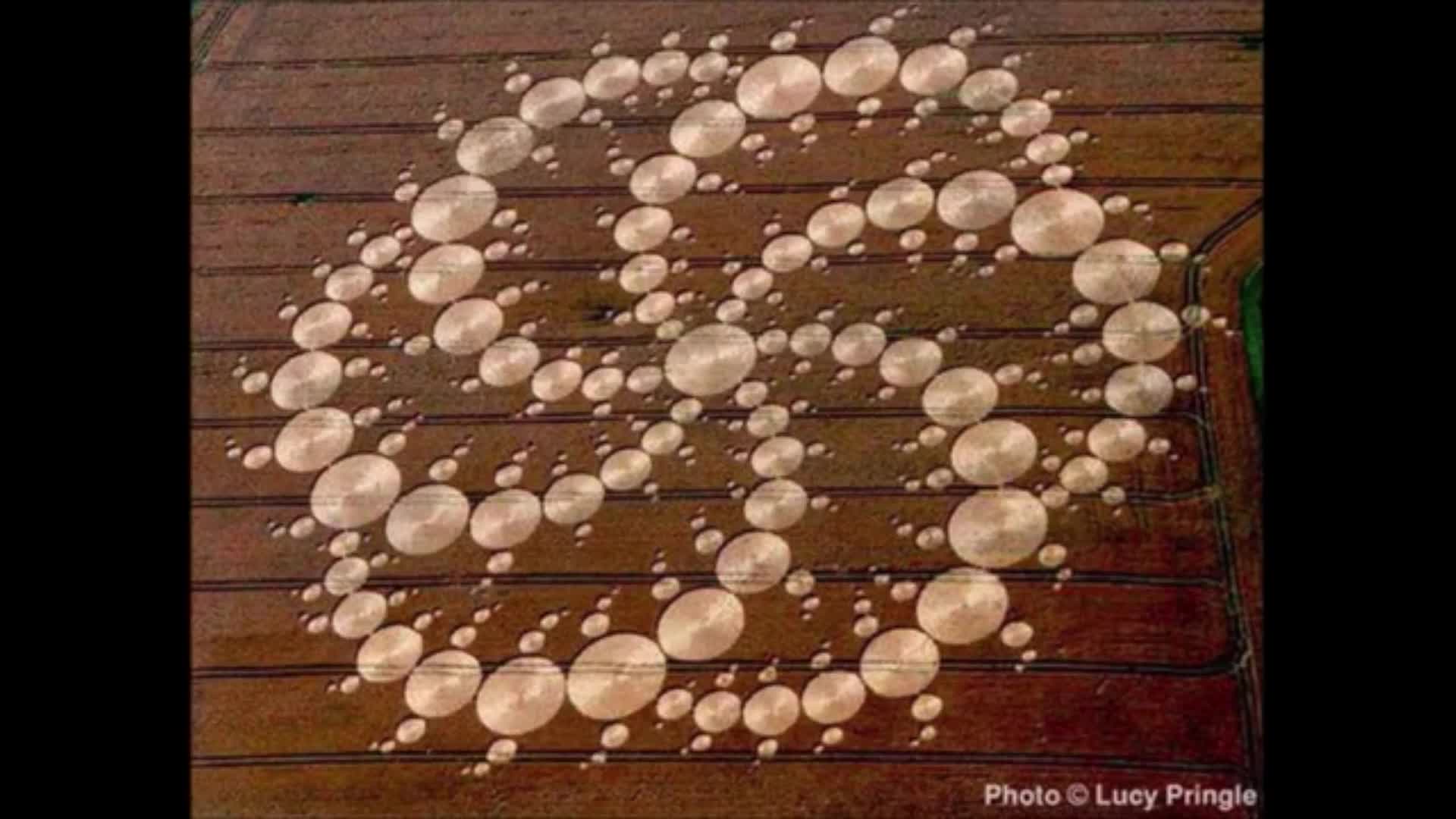Crop circle 2024 en Hampshire que nos quieren decir 3/1