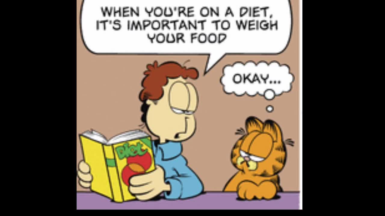 2026_02_21 Garfield Comic Dub