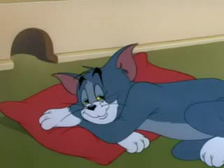 TOM VE JERRY (9)