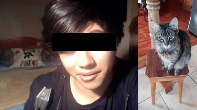 Mi experiencia con PELUCHIN ENTERTAINMENT (de El Morador Nocturno)