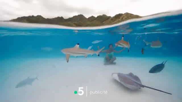 France 5 - Continuité (Juin 22, 2025)
