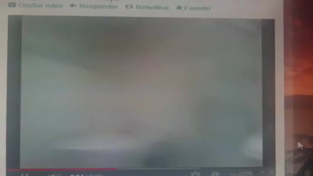 SALVADOR RAYA - COMO CAGAR