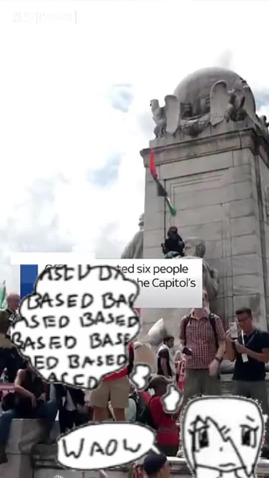 meme queimar bandeira eua