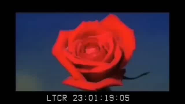 Lana Del Rey - Carmen (Official Music Video)