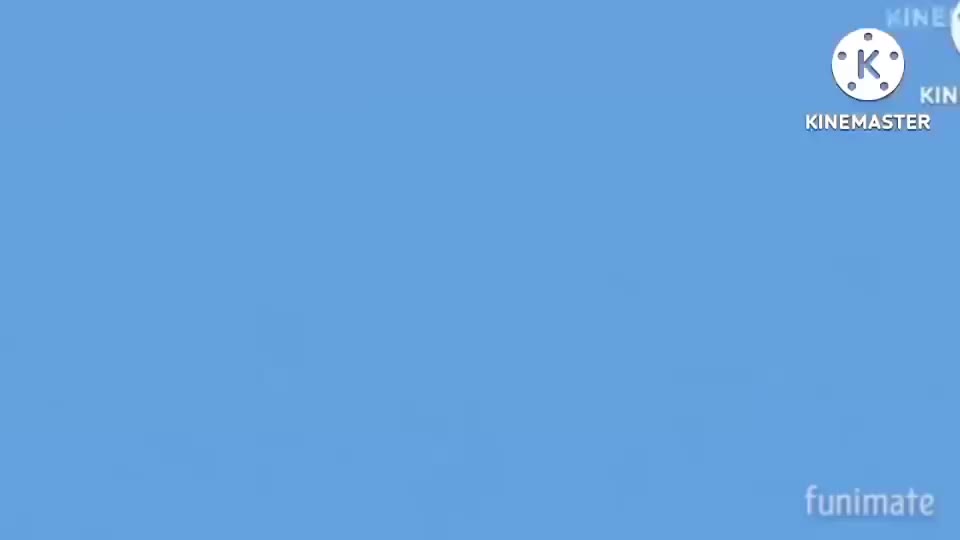 Flicky opusC.avi Real Footage V2