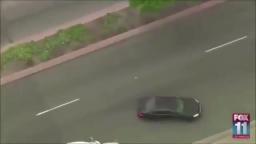 Where'd he Go?