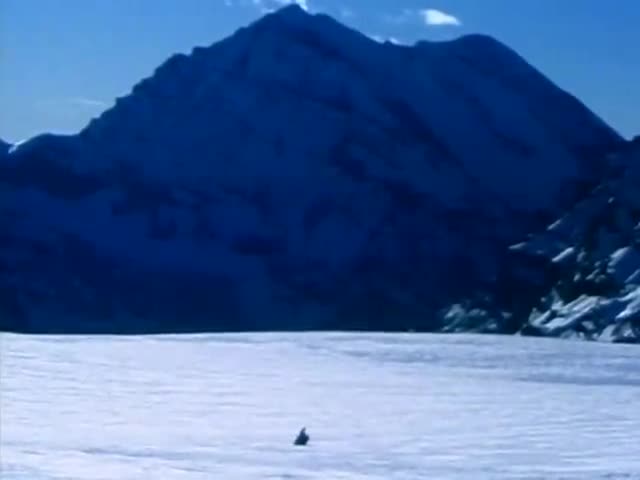 Depeche Mode - Enjoy the Silence (HD)