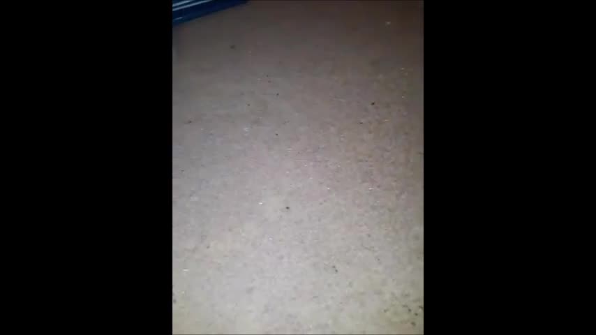 My Blu Ray Collection (Part 1.5)