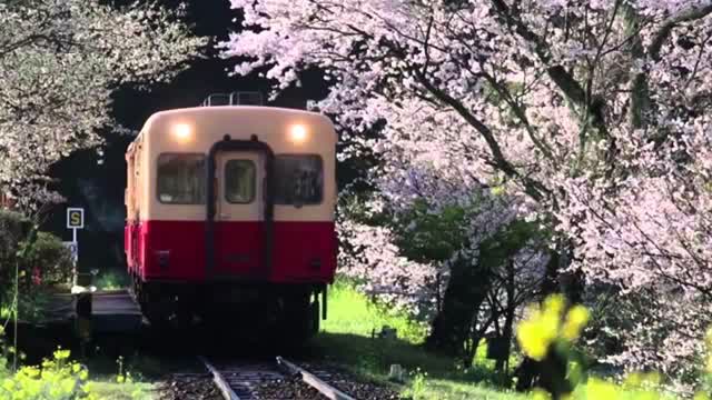 Yumi Matsutoya - Haru yo koi Kreygasm RIGHT VERSION