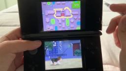 Playing nintendogs on Nintendo3DS