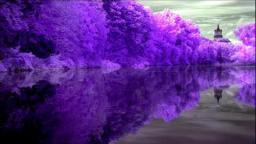MaGicXBeatS - Purple Dreams 4