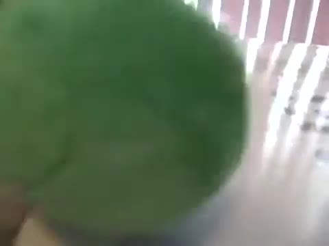 Yoshi Takes Mario to McDonalds