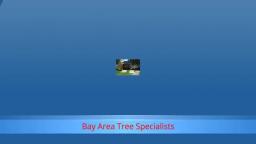Tree Trimming San Jose CA - Bay Area Tree Specialists (408) 836-9147