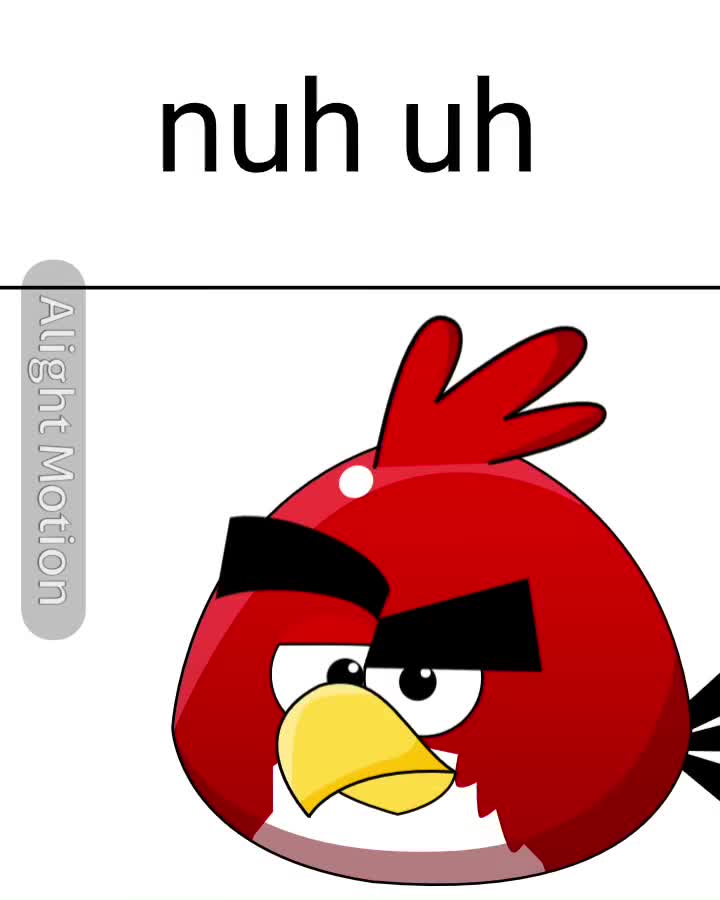 Nuh uh (angry birds